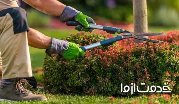 متخصصان نگهداری باغچه تهران